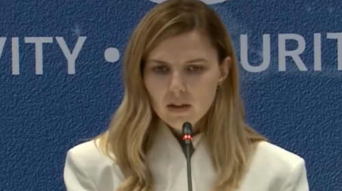 (VIDEO) Petkova para takimit me Mucunskin: Shpresoj të ketë vullnet nga Shkupi