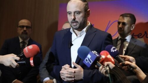 Gjorgjievski: Deri në fund të vitit do të fillojë zgjerimi i kapaciteteve për trajtimin e qenve endacakë