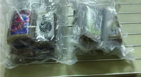 (VIDEO) Kapen 700 gramë hashash, ndalohet R.V. nga Tetova
