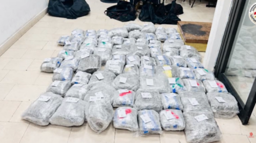 (VIDEO) Arrestohen 5 persona, kapen me 79 kilogramë marihuanë