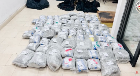 (VIDEO) Arrestohen 5 persona, kapen me 79 kilogramë marihuanë
