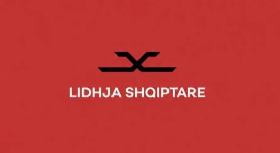 Lidhja Shqiptare: Kauza Kombëtare nuk është provincializëm, por Afrim Gashi është vasal që mohon edhe identitetin e vetë