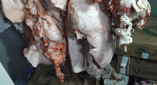 AUV zbulon produkte mishi të pasigurta, 2 tonë do të shkatërrohen në “Drisla”