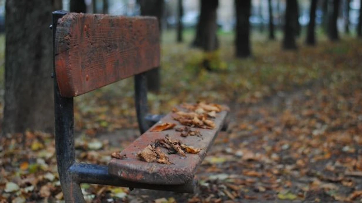 Parashikimi i motit