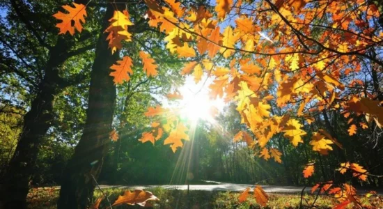 Mot i kthjellët dhe temperatura deri në 26 gradë në Maqedoninë e Veriut