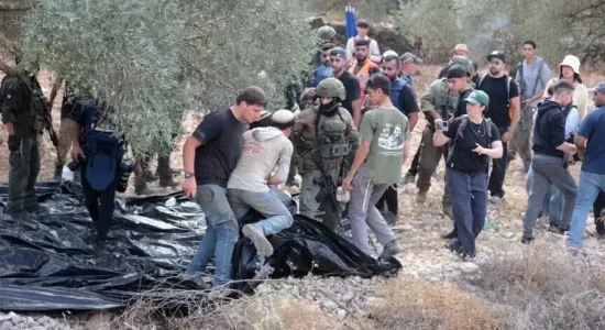 Pushtuesit izraelitë sulmojnë vjelësit e ullinjve në Bregun Perëndimor, u vënë zjarrin 3 automjeteve