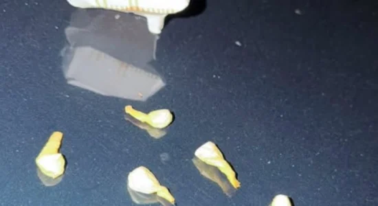 Është gjetur kokainë te një 23-vjeçar nga Ohri