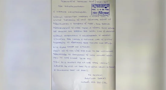 U vra dy orë pasi raportoi dhunën në familje, letra e saj drejtuar prokurorisë në Pejë: Kjo është shpresa ime e fundit