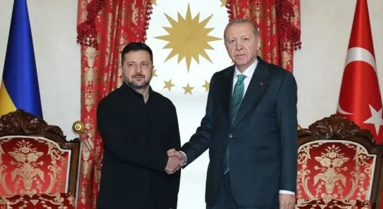 Presidenti turk Erdogan pret homologun ukrainas Zelenskyy në Stamboll